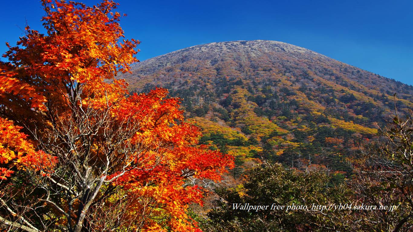 韓国岳と紅葉 高画質 1366 768 デスクトップ無料壁紙