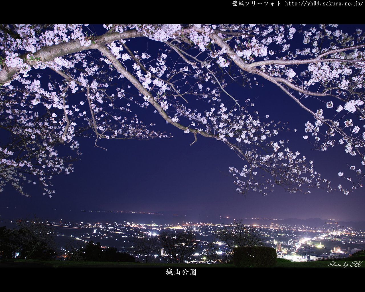 霧島市城山公園のライトアップされた桜と夜景 高画質 高解像度 1280 1024 デスクトップ無料壁紙